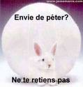 proute