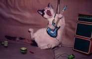 rock