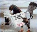 quoi de neuf ce matin